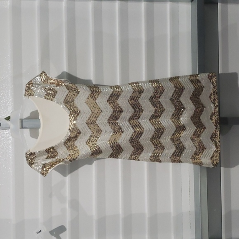 White Hose Black‎ Market Silver/Gold sequin dress.  Size XXS